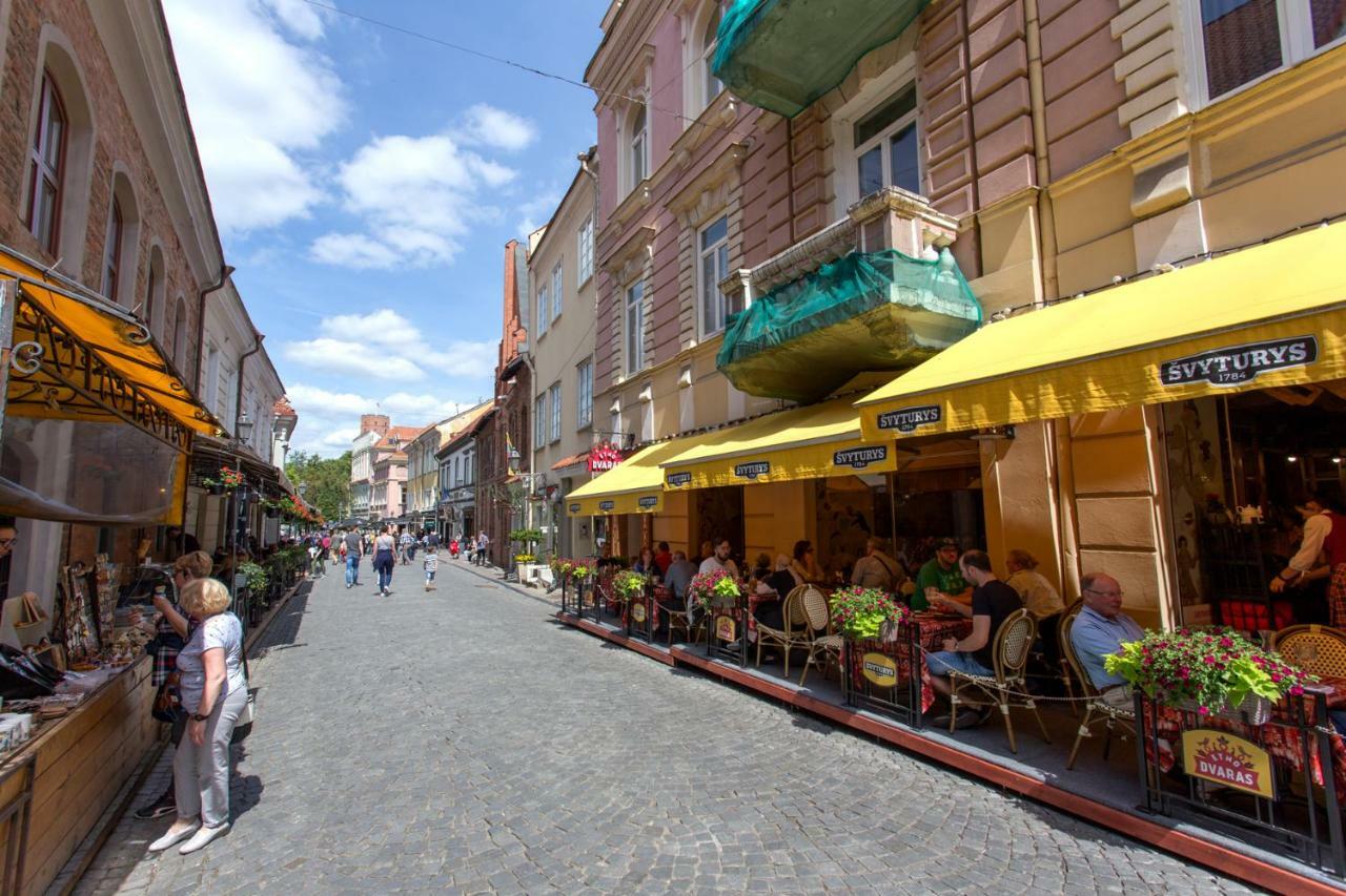 New Quiet Cozy City Center Apartment VNO Exterior foto